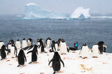 Friends and Family Experience - The Last Desert (Antarctica)