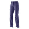 Salomon Women's Wayfarer Winter Pants Artist Grey-X