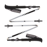Black Diamond Unisex Distance FLZ Trekking Poles (Pair) ICE