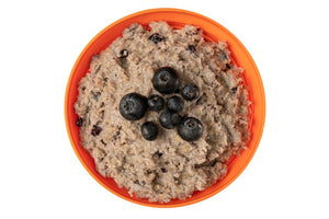 Expedition Foods Porridge with Blueberries (450kcal)