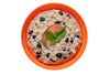 Expedition Foods Vegan Rolled Oats, Apple and Blackcurrant (800kcal)