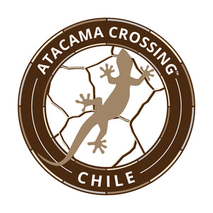Friends and Family Experience - Atacama Crossing (Chile)